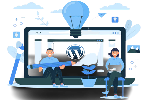 India Wordpress Developer
